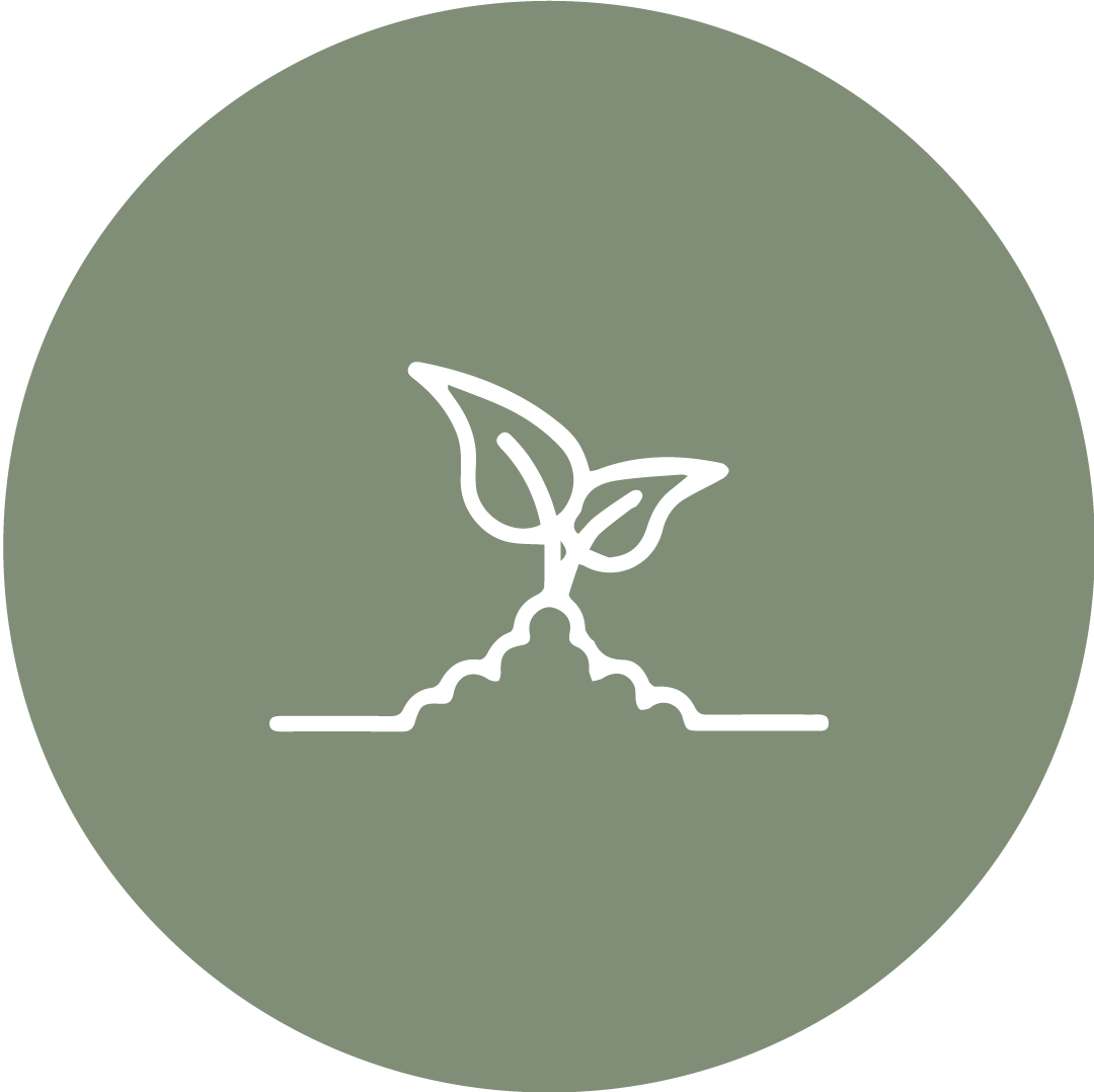 Seed Agro Tech Logo